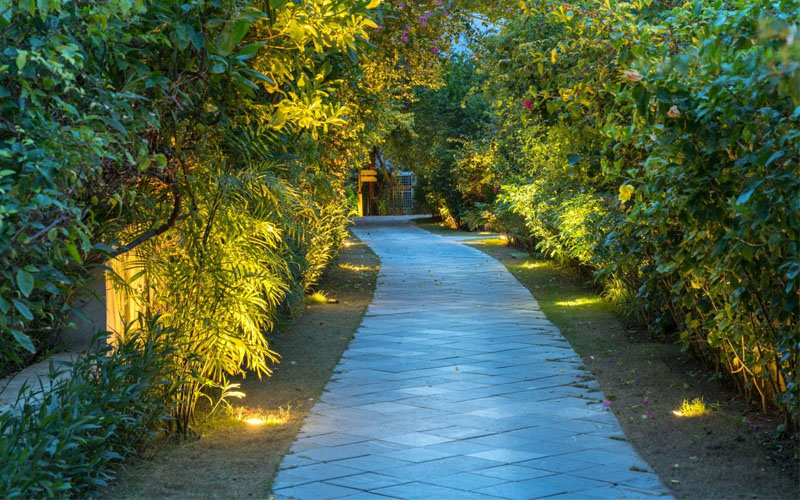 thiết kế ánh sáng cảnh quan sân vườn - lối đi trong vườn, hiên nhà và đường lái xe