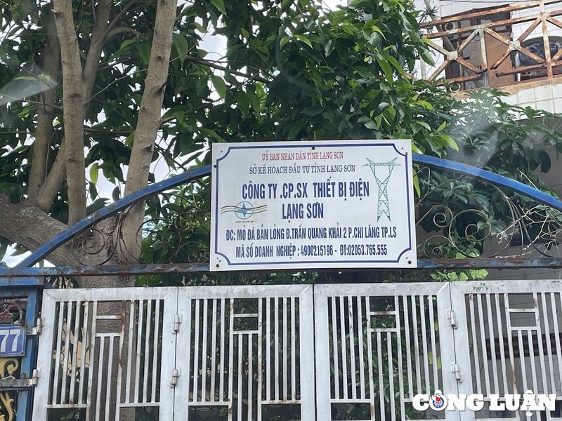 Ảnh minh họa: Công Ty Cổ Phần Sản Xuất Thiết Bị Điện Lạng Sơn